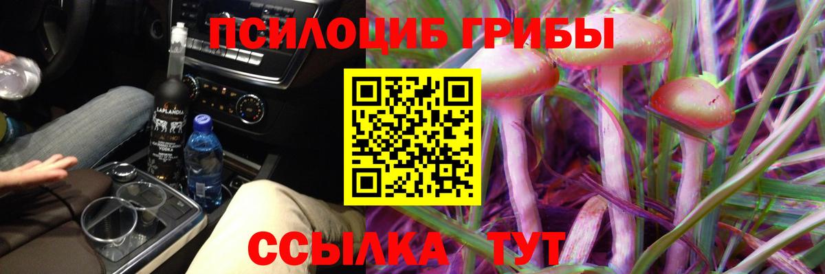 сколько стоит  Псилоцибиновые грибы ЛСД  Псилоцибиновые грибы мухоморы  Вход с VPN  Медногорск 